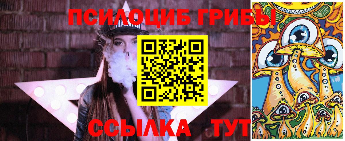 Псилоцибиновые грибы Psilocybe  Вход с VPN  Домодедово 